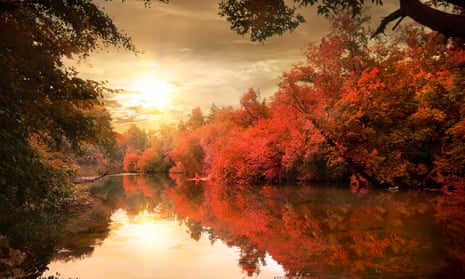 Vibrant colors of the autumn forest at sunset