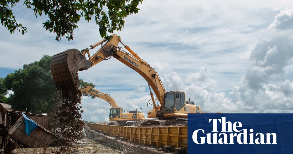 How the world’s taste for soya is eating Brazil’s Amazon
