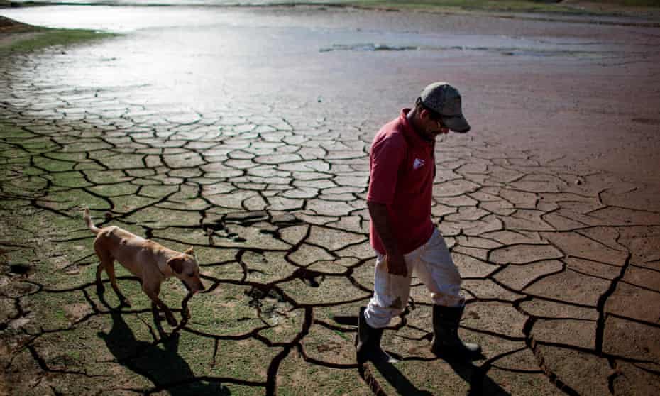 A resident walks with a dog across the drying bottom of the Paraibuna dam, Brazil.