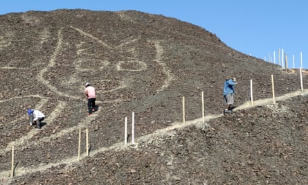 Huge Cat Found Etched Into Desert Among Nazca Lines In Peru Peru The Guardian