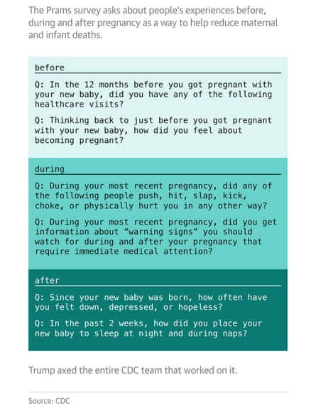 Questions on pregnancy from a deleted survey done by the CDD. Guardian Design
