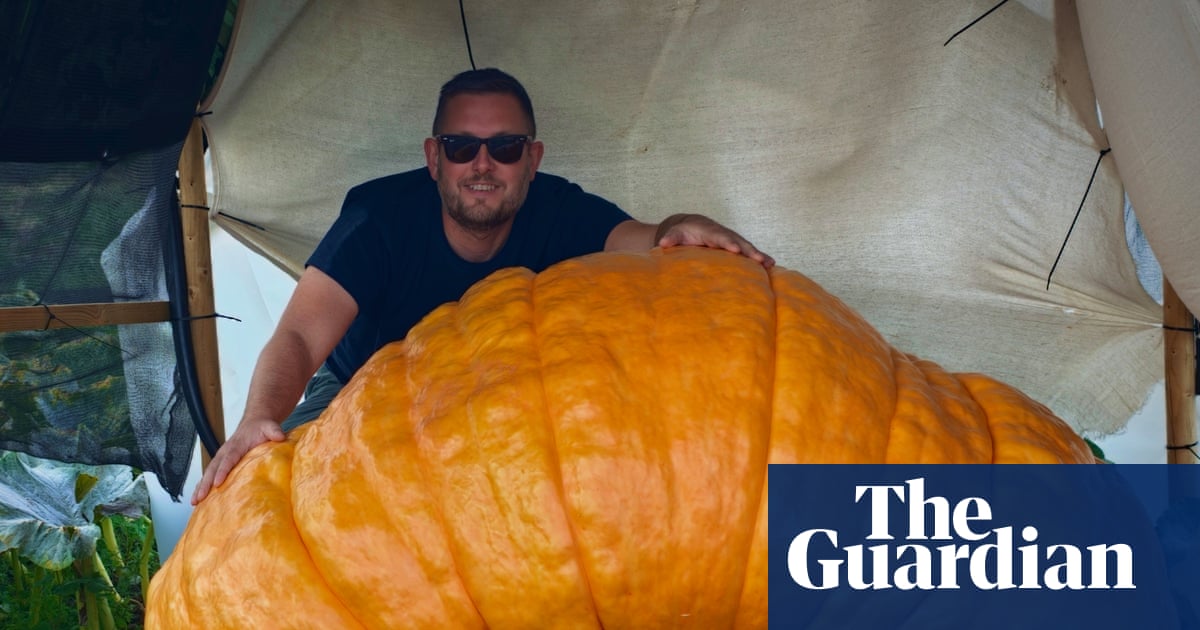 Gladys the giant pumpkin: is this the biggest fruit in the world? Gladys the giant pumpkin: is this the biggest fruit in the world?