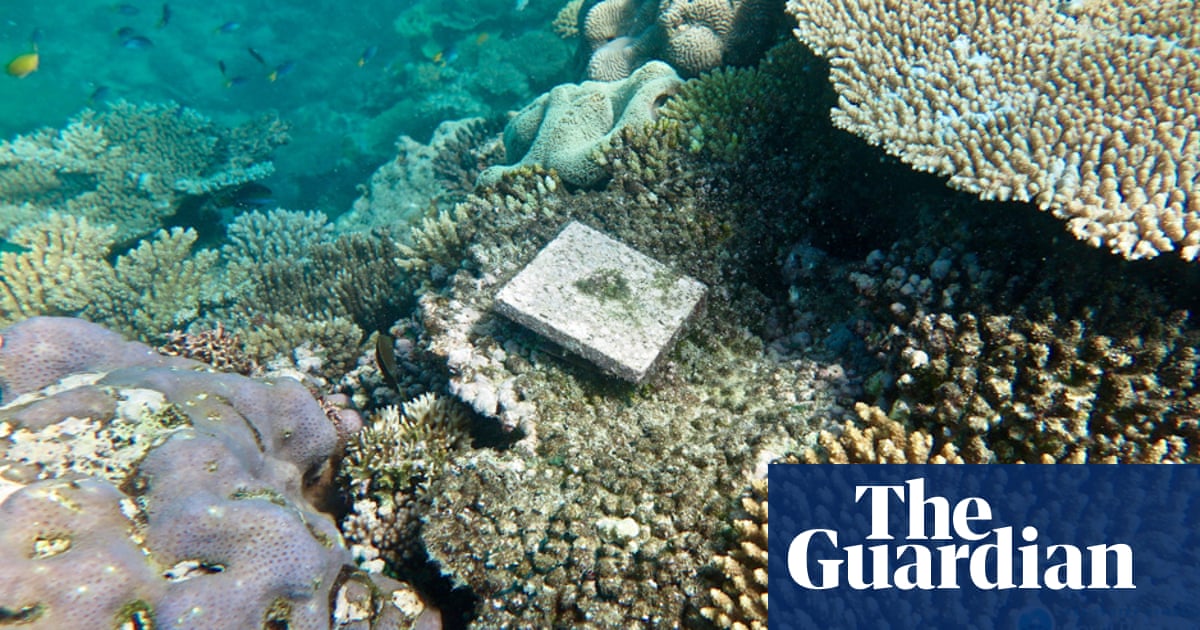 How much of the great barrier reef is bleached How much of the great barrier reef is bleached