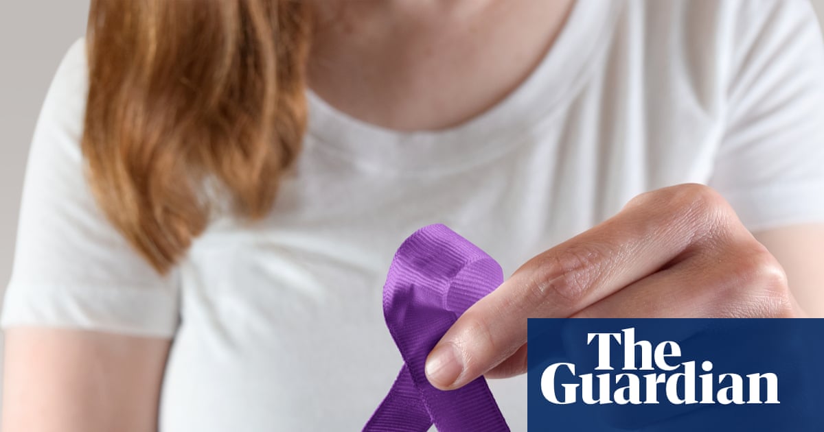 US states propose domestic violence registries – but could they harm women?