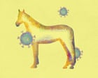 Mystery Virus Emerged in Australian Horses, Then Humans