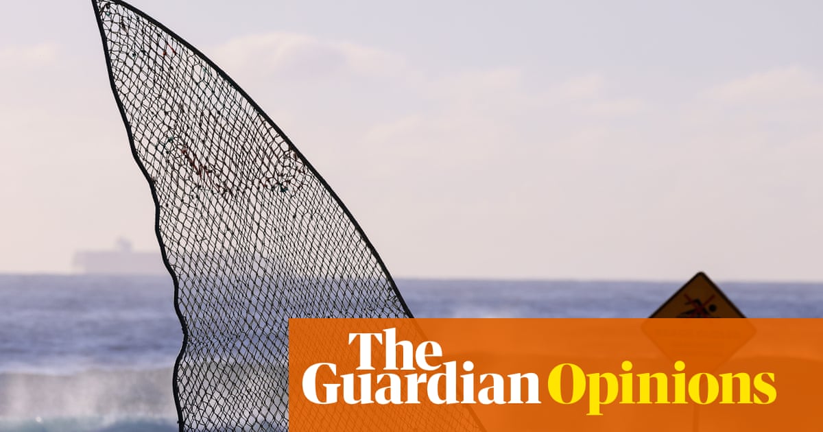 Sharks have always stoked panic in Australia. While scientific understanding grows, conservation efforts can be unseated by fear | Anna Clark