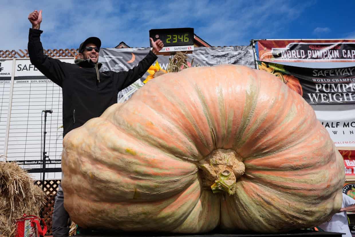 Brandon Dawson celebrates after winning the 52nd annual World Championship Pumpkin Weigh-Off in Half Moon Bay, California, on Monday. Photograph: Godofredo A Vásquez/AP - image source: theguardian.com