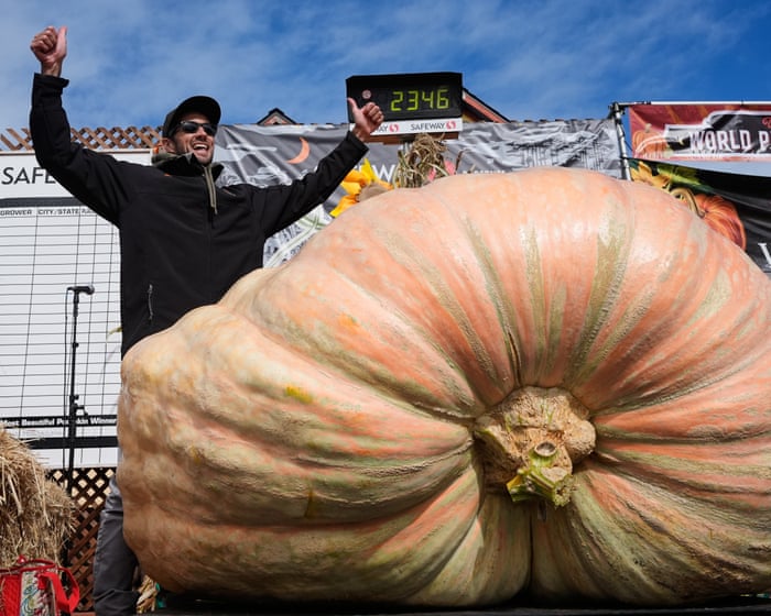 California engineer wins contest with pumpkin that weighs over 2,000lb