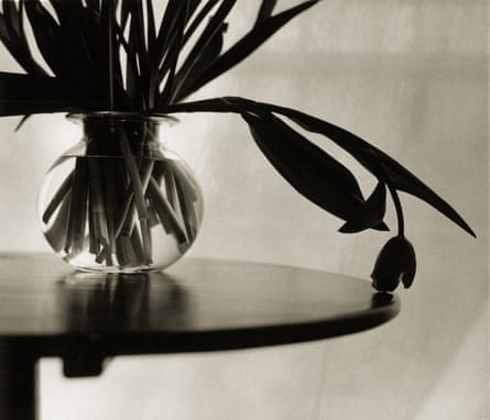 Tulips with a mind of their own