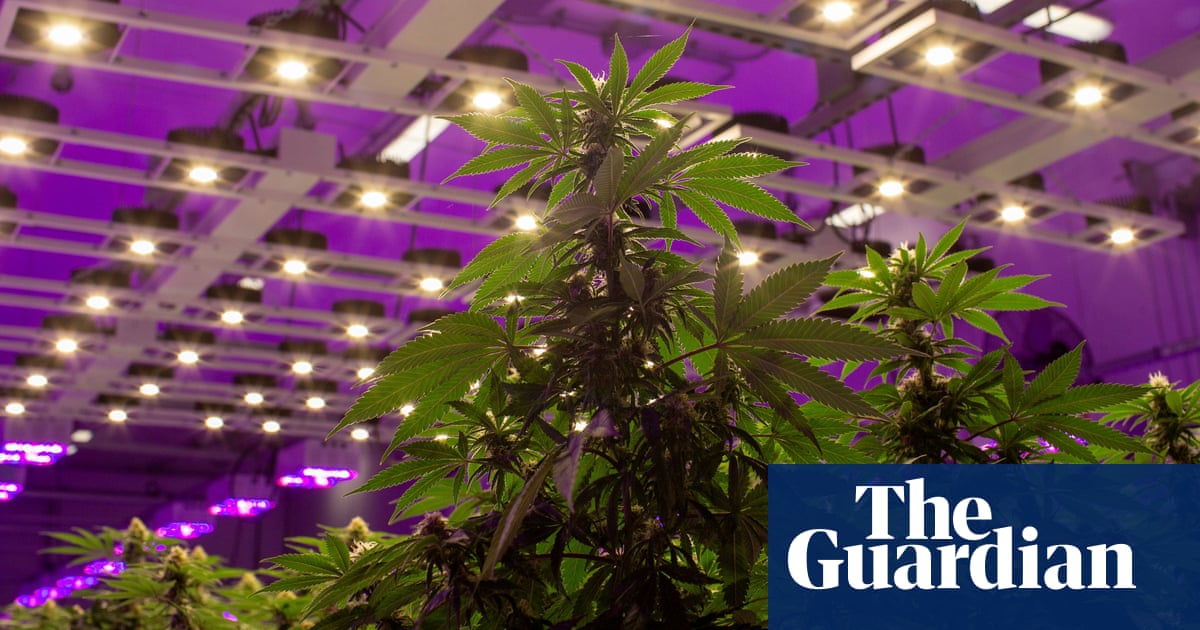 Luxembourg to be first European country to legalise cannabis