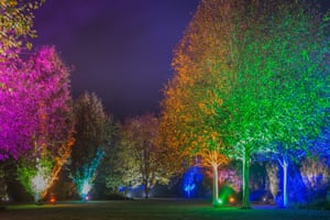 Winter Garden Illuminations at RHS Garden RosemoorChristmas at Harlow Carr