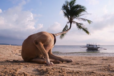 ‘When I first saw Kebs Cayabyab’s Synchronicities, I smiled – and then lingered. The images feel light and playful, yet it’s clear they come from a process of patient looking and deliberate framing. Cayabyab notices subtle alignments and fleeting, offbeat connections in the everyday, turning ordinary moments into witty, surreal discoveries. What seems effortless is grounded in sharp attention and great skill’