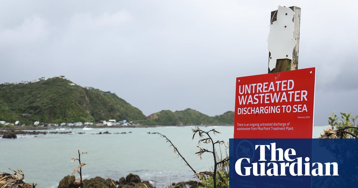Wellington Sewage Disaster Exposes Decades of Neglect, Endangering Communities and Marine Life