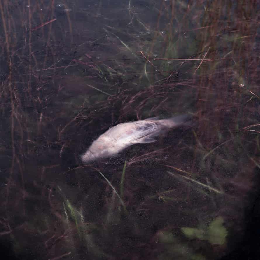 Sakin Live 2020 film Tariq Haddad