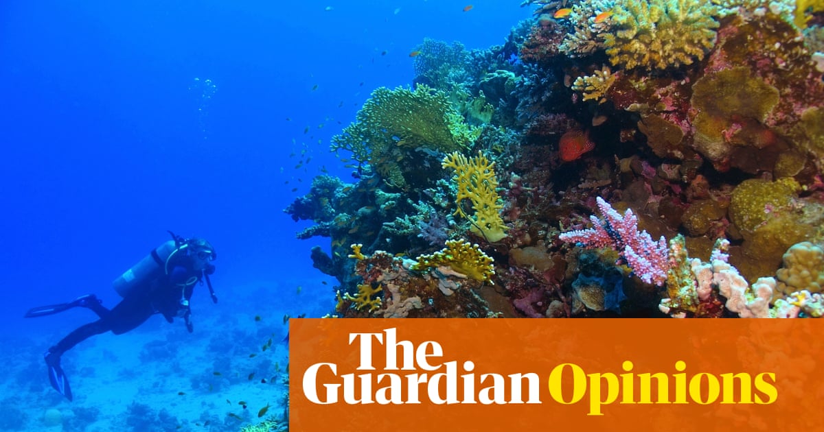 The biggest gold rush in history is about to start in the deep sea – leaving devastation in its wake | Guy Standing
