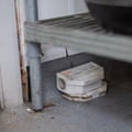 A rat box on the floor under a bedframe