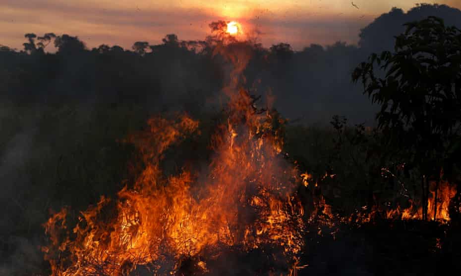 Burning forest in the Brazilian state of Amazonas