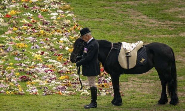 Le poney portait l'un des foulards du monarque.