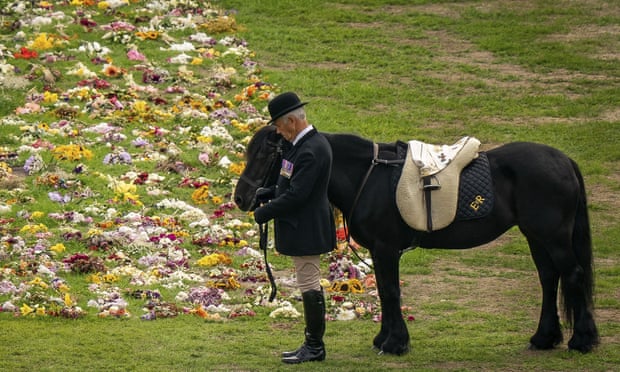 The pony carried one of the monarch’s headscarves.