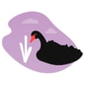 Illustration of Black Swan