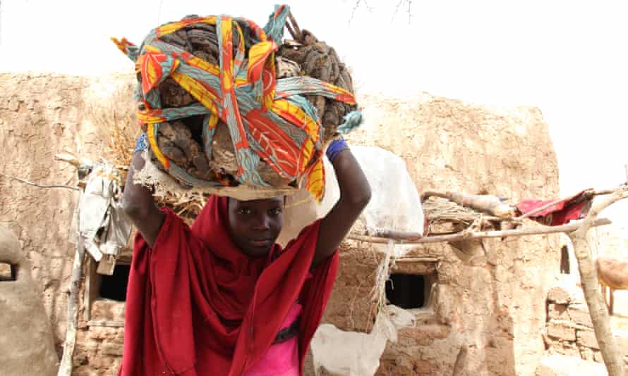 A  young girl from Niger carries animal dung on her head to sell at a local market.