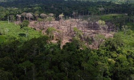 Trees lie in an area recently deforested by staff at the Chico Mendes Institute in the Chico Mendes Extraction Reserve, Acre State, Brazil, Thursday, December 8, 2022. Deforestation decreased by 33.6 people in the Brazilian Amazon, although deforestation increased over four years. % during the first six months of President Luis Inacio Lula da Silva's term.