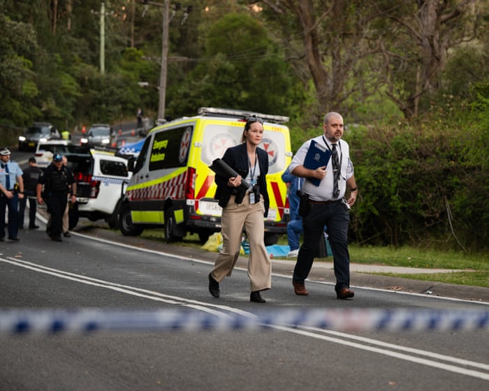 Police allege mother behind Blue Mountains stabbing attack on three children that left one dead