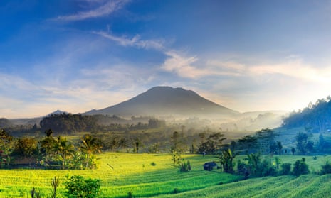 In bright morning light, rice fields and Mount Agung, Bali, Indonesia.