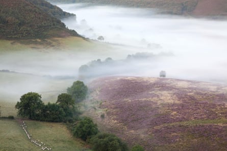 Dawn mist in the Hole of Horcum.