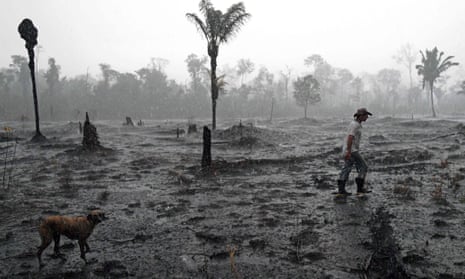 A Brazilian farmer walks through a burned area of the Amazon rainforest, near Porto Velho, Rondonia state