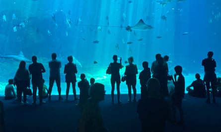 People standing in front of Europe’s largest aquarium, called Nausicaá in Boulougne-sur-Mer