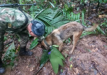 A rescue dog is shown a pair of scissors found in the forest in Caquetá province on 17 May during the search for the children.