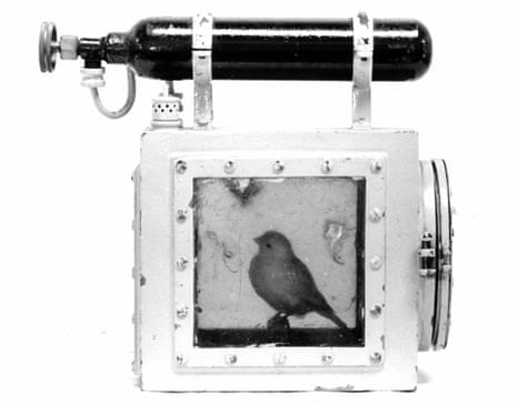 The coal miner’s canary provided a warning of dangerous levels of toxic gases. 