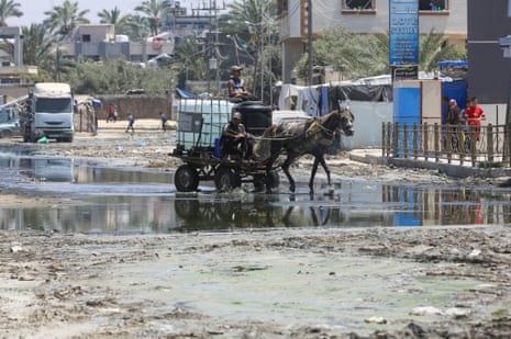 Highly infectious poliovirus found in Gaza sewage samples | Gaza