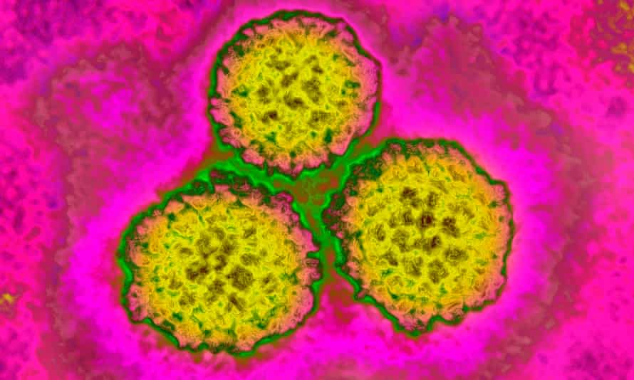 hpv vírus jab
