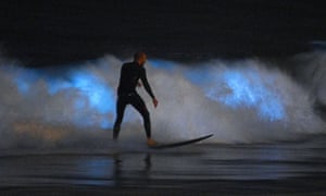 bioluminescent california waves surfers dazzle anything seen never algae