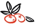 line drawing of cranberries