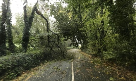 Image taken by a Guardian reader in Timoleague, County Cork, of tree damage caused by storm Ophelia.