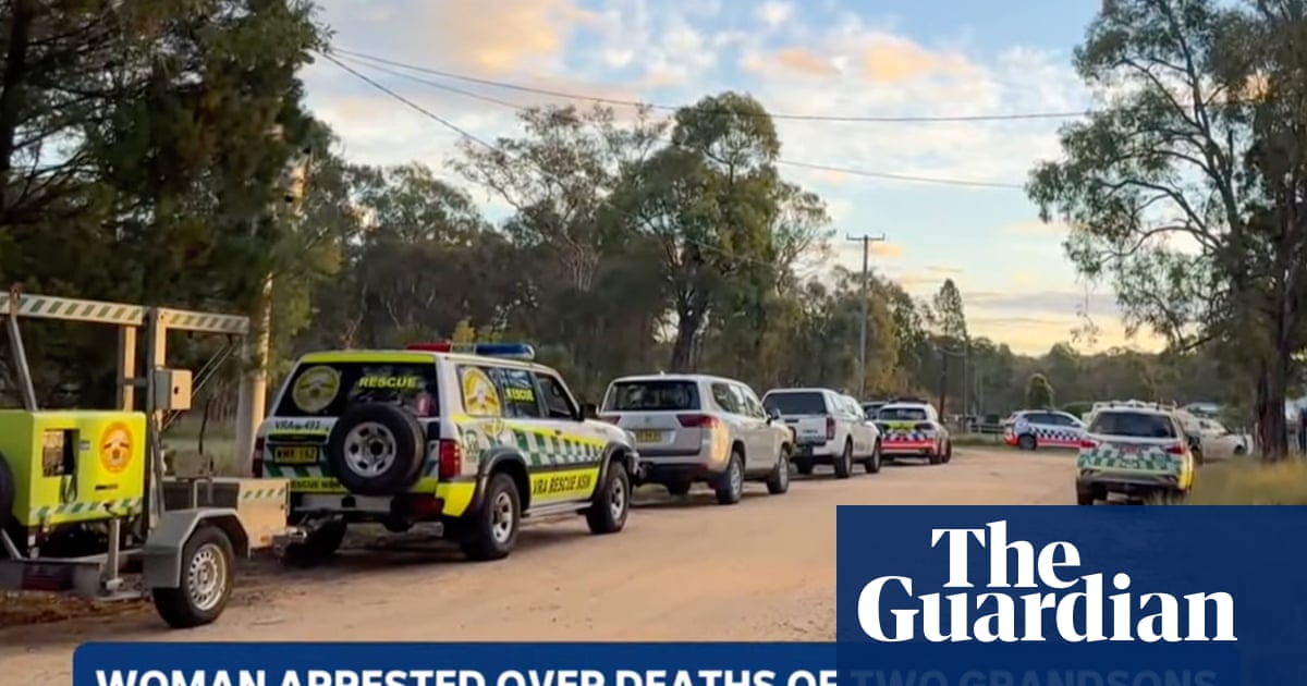 Coonabarabran grandmother in mental health facility after ‘confronting’ deaths of two young boys