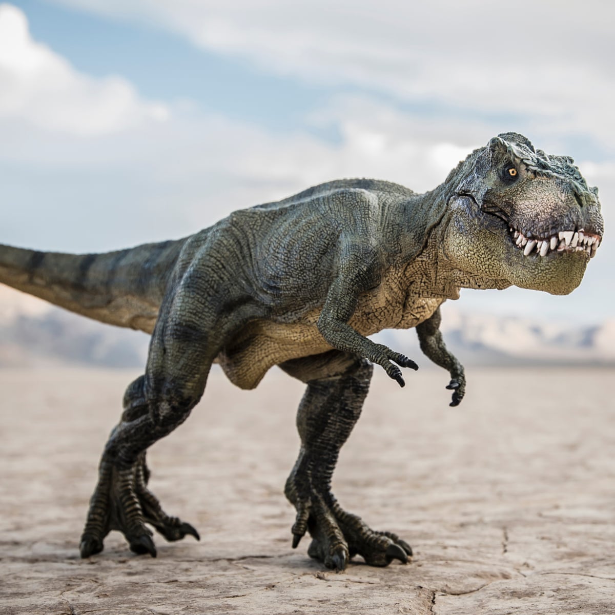 Baby T rex goes on sale on , sparking paleontologists' outcry, Dinosaurs