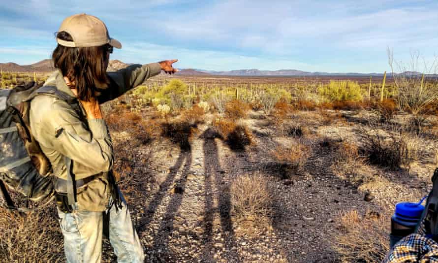 A volunteer scouts routes across the Sonoran Desert.
