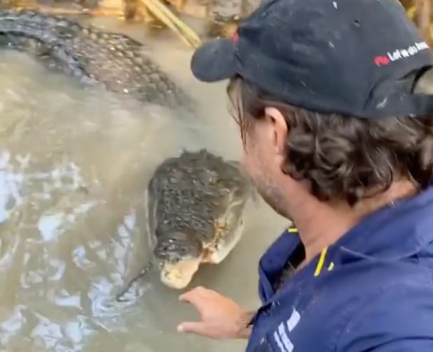 ‘Sit! sit!’ How one Australian dealt with a 4m crocodile called ‘Bonecruncher’ ‘Sit! sit!’ How one Australian dealt with a 4m crocodile called ‘Bonecruncher’