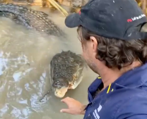 ‘Outback wrangler’ Matt Wright instructs a large crocodile, known as Bonecruncher, who is in the way as he tries to clear logs from a river in the Northern Territory.