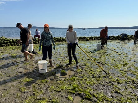 A group of people on a beach
