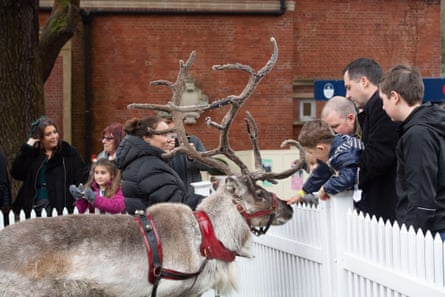 A family pets a reindeer in a pen.