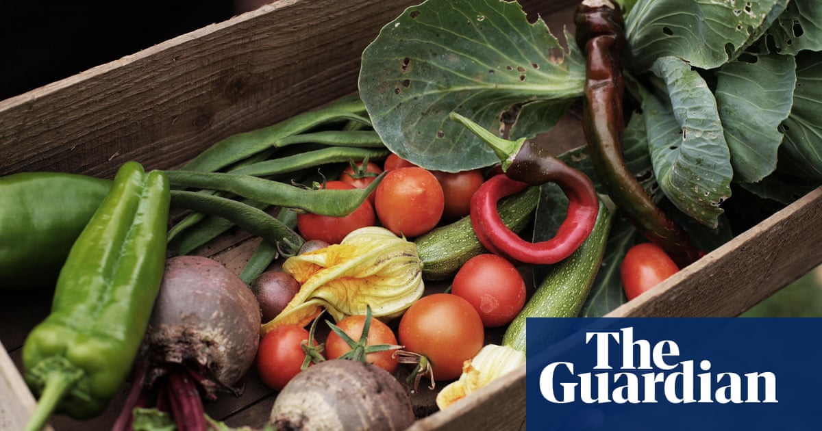 No Backyard Problem How To Grow Your Own Vegetables In An No Backyard Problem How To Grow Your Own Vegetables In An Apartment