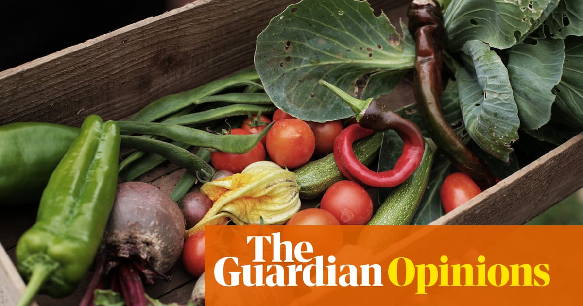 The Guardian view on guerrilla gardening: go forth and grow