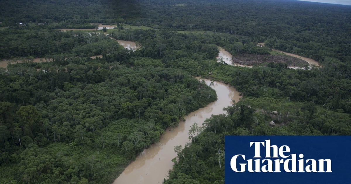 Giving £2 a day to people in the Amazon helps protect rainforest, pilot project finds