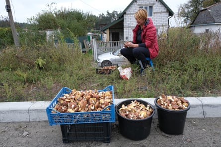 Tetyana Sikachina, 31, peels mushrooms to sell to passing motorists – once a common sight in this part of Ukraine during the autumn months. These mushrooms were collected in the fields behind her house because she is too frightened to go into the forest.