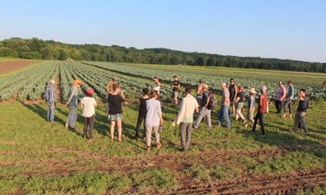 Agricultural initiatives like Hudson Valley Farm Hub are working toward equitable, resilient food systems.